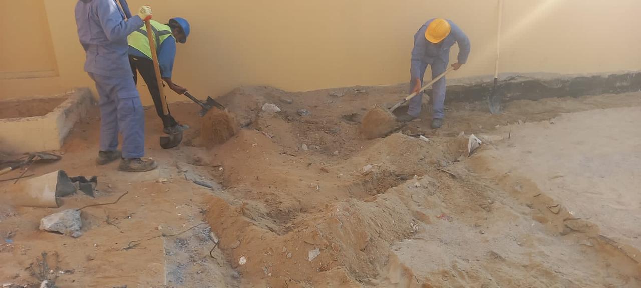 Landscaping with Al Bania 11